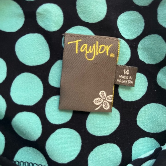 Taylor Green Ruched Wrap Maxi Dress - Picture 8 of 10